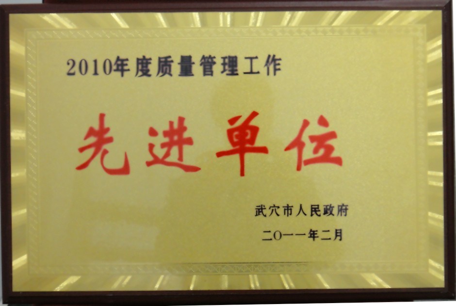 2010年度質(zhì)量管理工作先進單位（黃岡亞東）