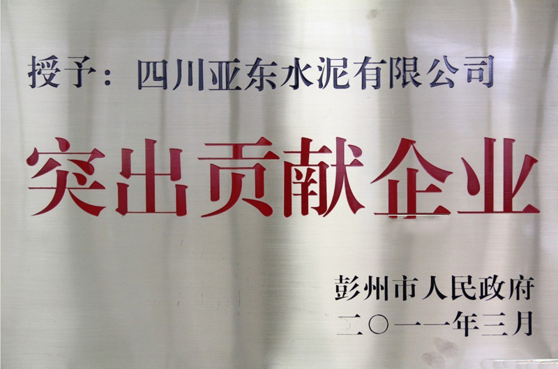 突出貢獻企業(yè)（四川亞東）