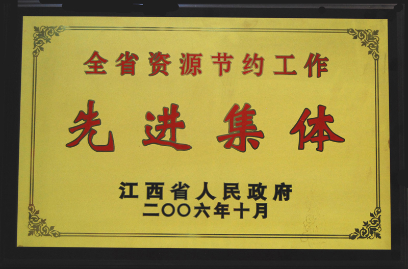 全省資源節(jié)約工作先進集體（江西亞東）