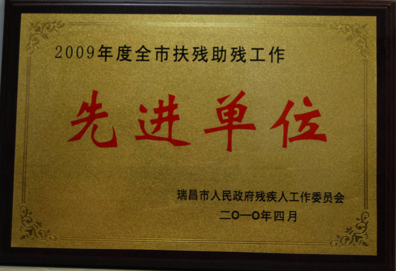 全市扶殘助殘工作先進(jìn)單位（江西亞東）