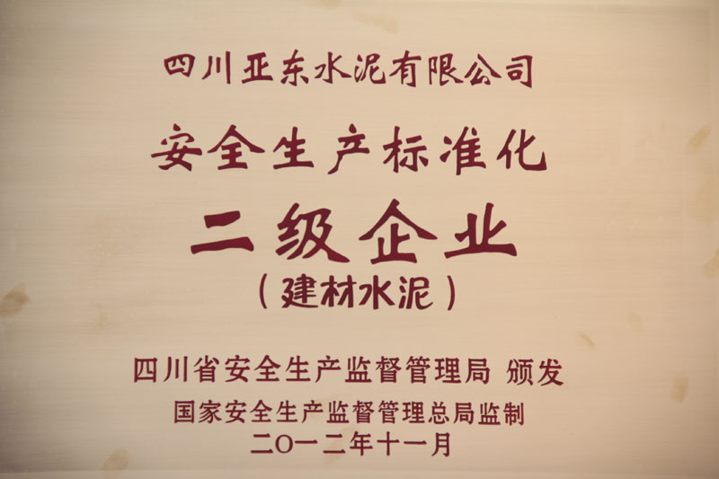 安全生產(chǎn)標(biāo)準(zhǔn)化二級(jí)企業(yè)（四川亞?wèn)|）