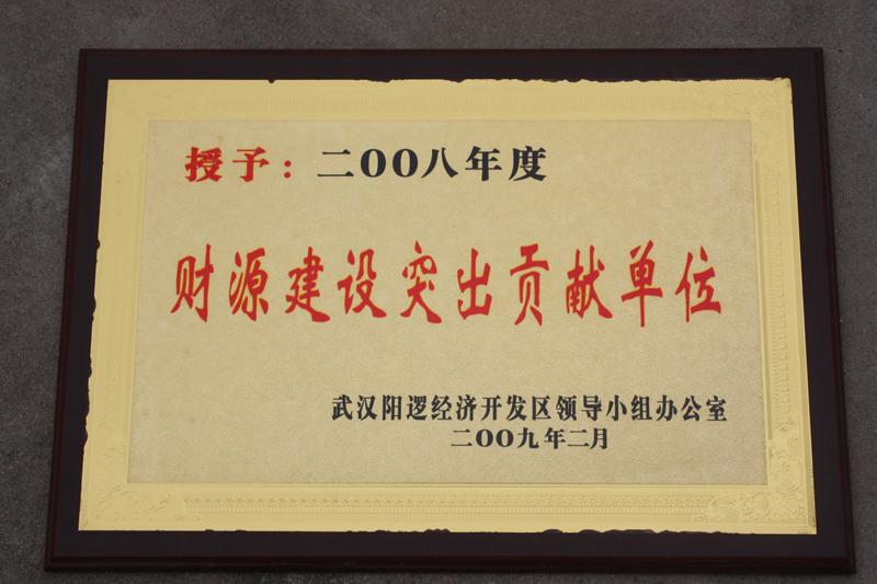 財源建設(shè)突出貢獻(xiàn)單位（湖北亞東）