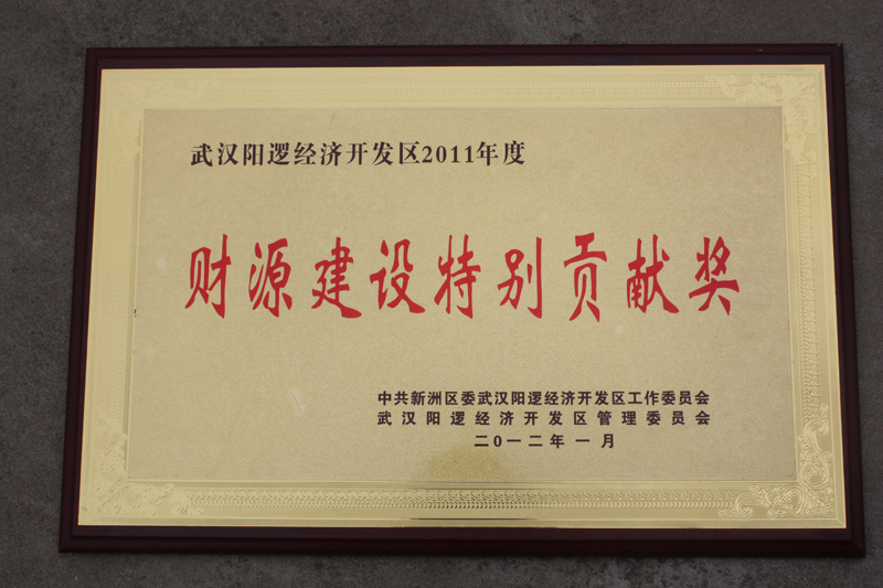 財(cái)源建設(shè)特別貢獻(xiàn)單位（湖北亞?wèn)|）