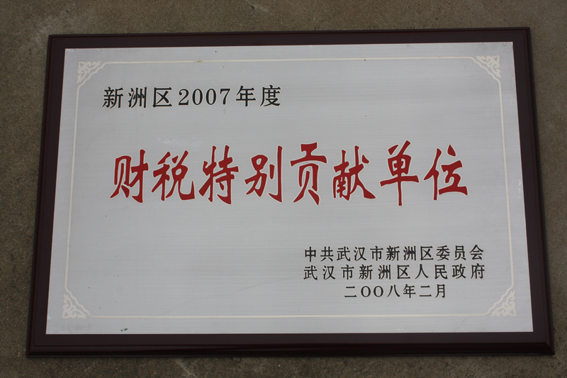 財稅特別貢獻單位（湖北亞東）