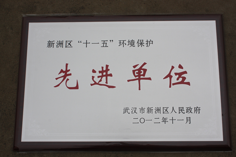 “十一五”環(huán)境保護(hù)先進(jìn)單位（湖北亞?wèn)|）