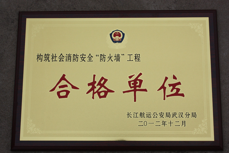 社會(huì)消防安全合格單位（湖北亞?wèn)|）