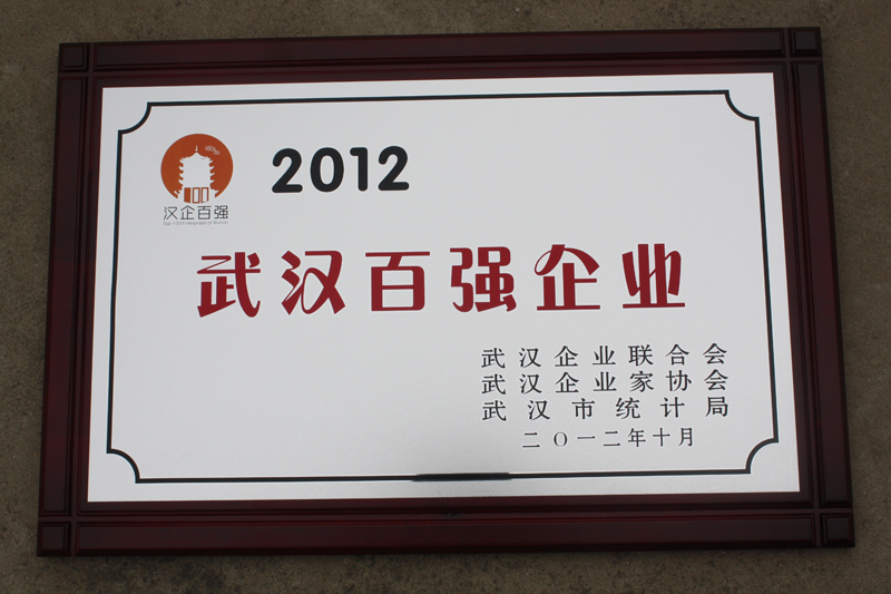 武漢百?gòu)?qiáng)企業(yè)（湖北亞?wèn)|）