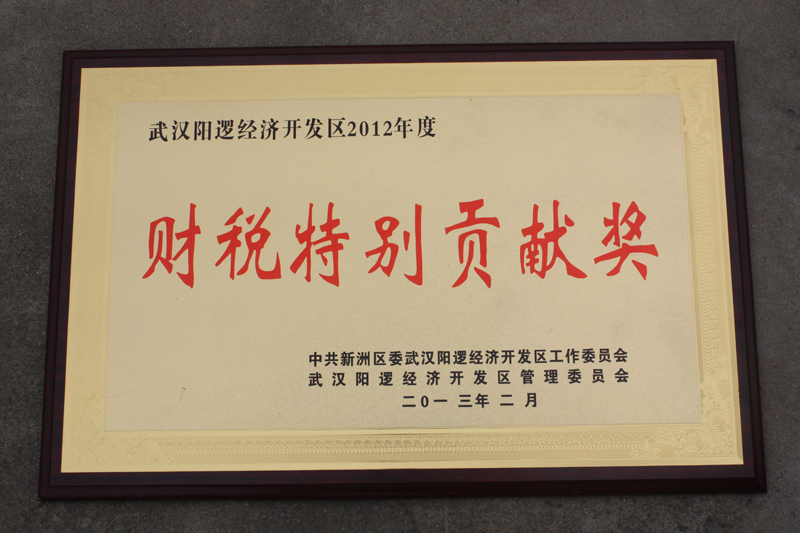 財稅特別貢獻(xiàn)獎（湖北亞東）