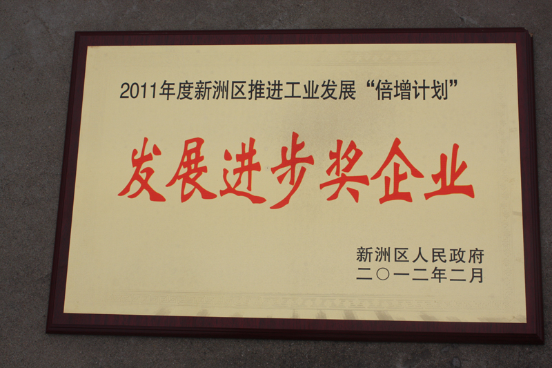 發(fā)展進(jìn)步獎(jiǎng)企業(yè)（湖北亞?wèn)|）