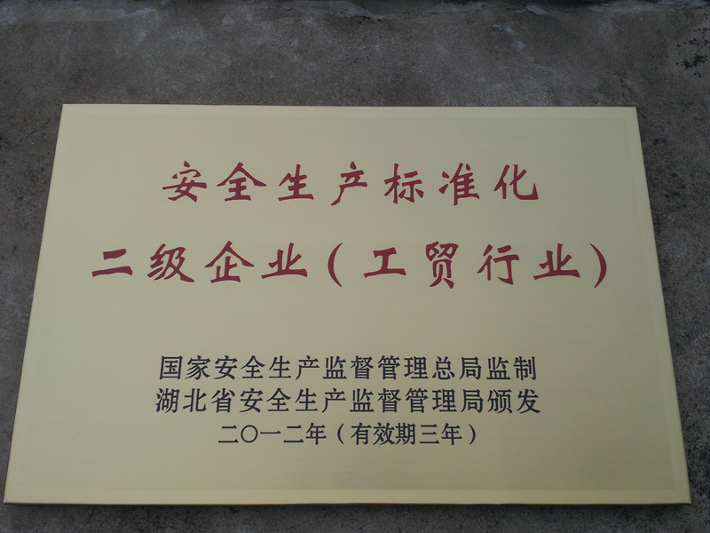 安全生產(chǎn)標(biāo)準(zhǔn)化二級(jí)企業(yè)（湖北亞?wèn)|）