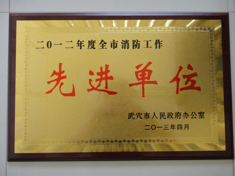 消防工作先進(jìn)單位（黃岡亞?wèn)|）