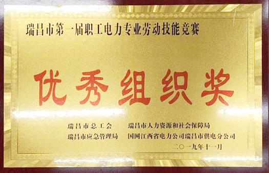 職工電力專(zhuān)業(yè)勞動(dòng)技能競(jìng)賽“優(yōu)秀組織獎(jiǎng)”（江西亞?wèn)|）