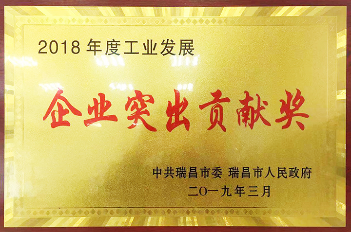 企業(yè)突出貢獻(xiàn)獎(jiǎng)（江西亞?wèn)|）