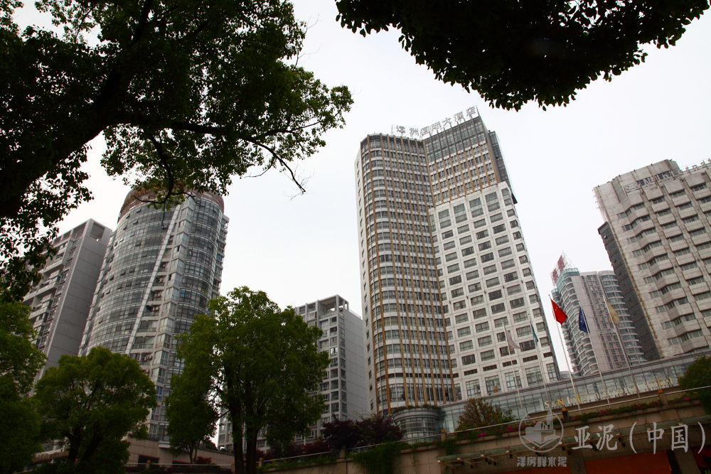 九江遠(yuǎn)洲國際大酒店